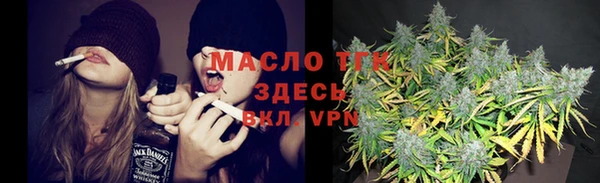 дмт Осинники